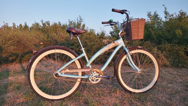 Nirve Lahaina '10 #224