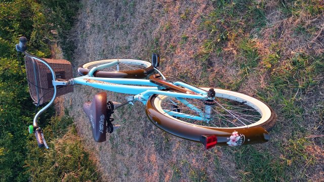 Nirve Lahaina '10 #228