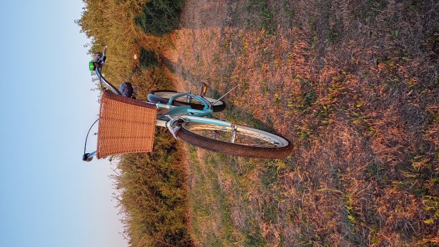 Nirve Lahaina '10 #234