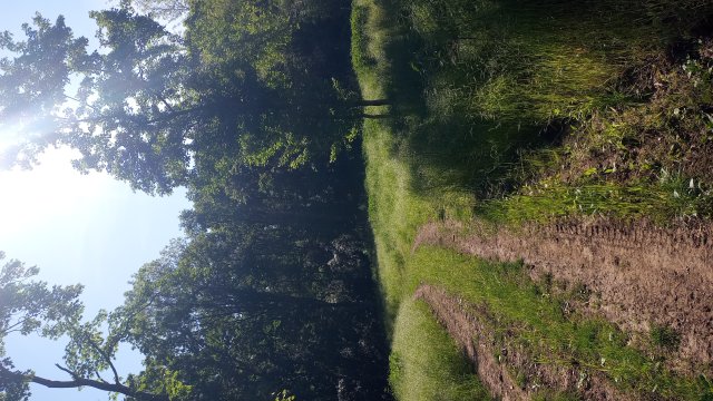 Dolina 33 teljesítménytúra '25 #29