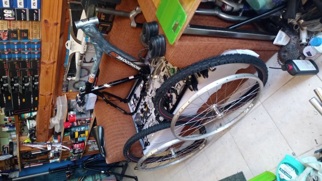 Mongoose NX 7.0 '00 #13