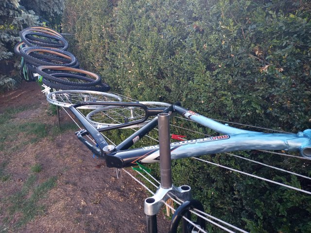 Mongoose NX 7.0 '00 #7