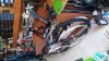 Mongoose NX 7.0 '00 #13