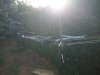 Mongoose NX 7.0 '00 #8