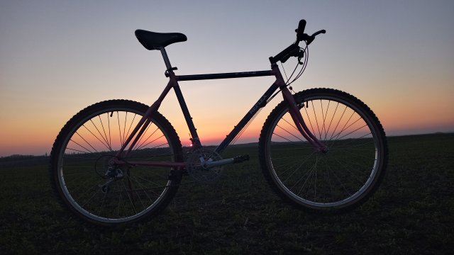 Reflex ALX 99 '88 #116