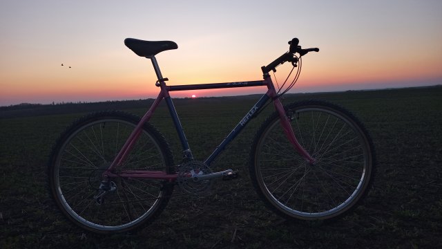 Reflex ALX 99 '88 #117