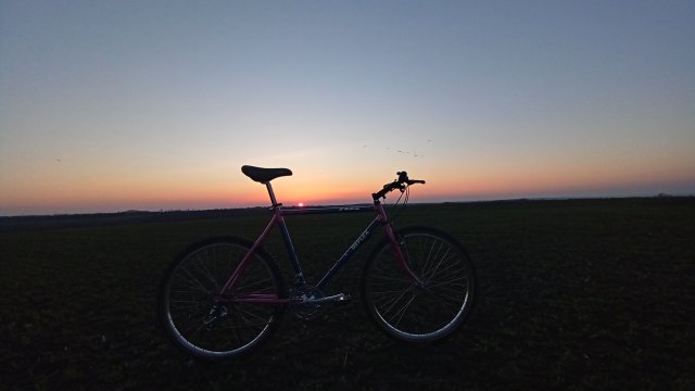 Reflex ALX 99 '88 #118