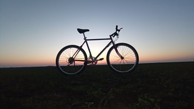 Reflex ALX 99 '88 #119