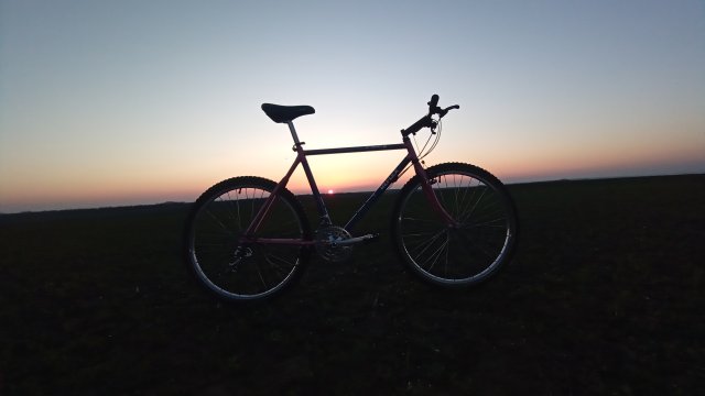 Reflex ALX 99 '88 #120