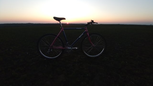 Reflex ALX 99 '88 #121