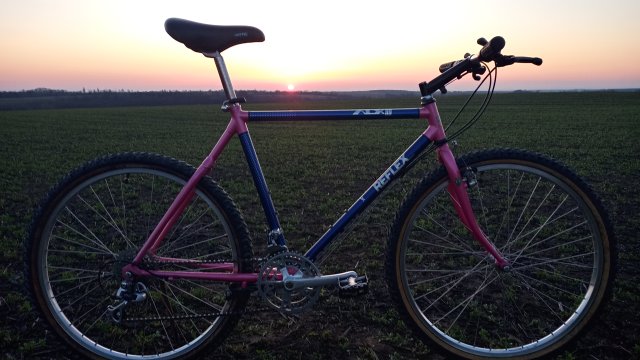 Reflex ALX 99 '88 #128