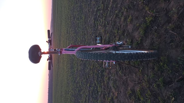 Reflex ALX 99 '88 #172