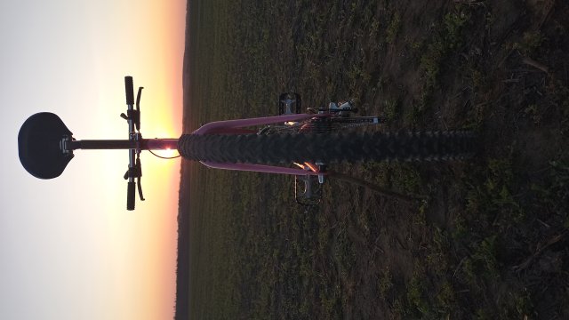 Reflex ALX 99 '88 #174