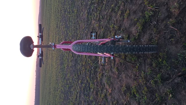 Reflex ALX 99 '88 #175