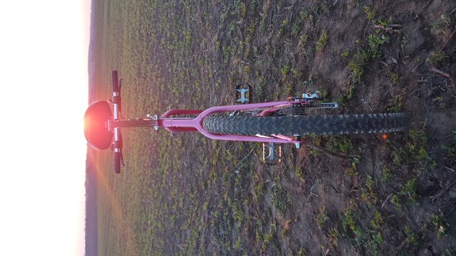 Reflex ALX 99 '88 #176