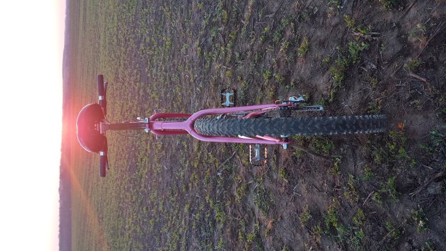 Reflex ALX 99 '88 #177