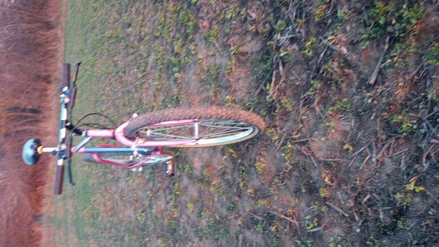 Reflex ALX 99 '88 #182