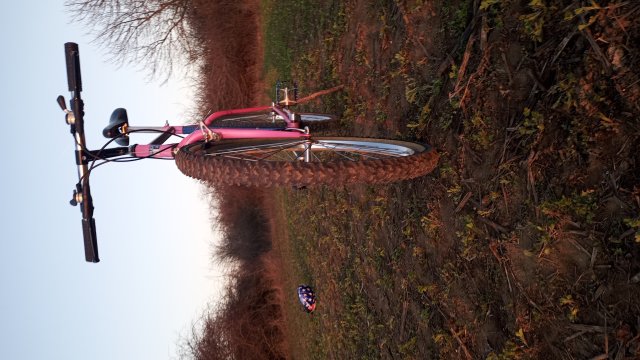 Reflex ALX 99 '88 #183