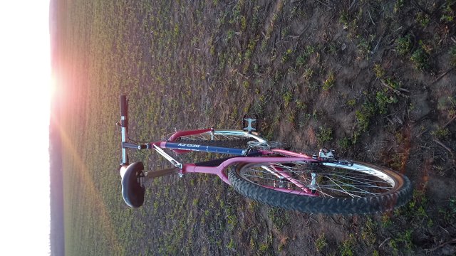 Reflex ALX 99 '88 #189