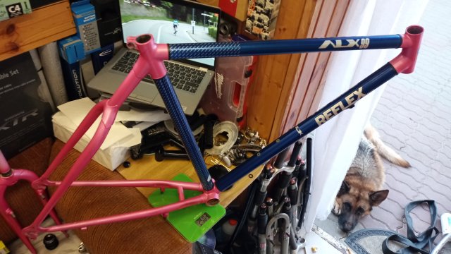 Reflex ALX 99 '89 #20