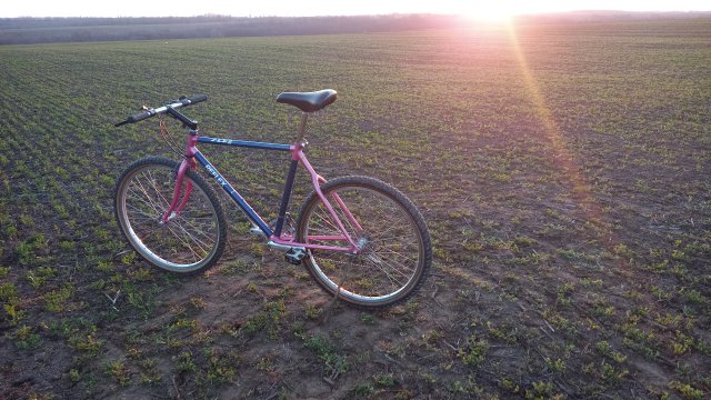 Reflex ALX 99 '88 #207