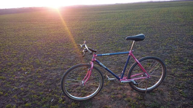 Reflex ALX 99 '88 #208