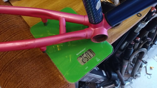 Reflex ALX 99 '89 #21