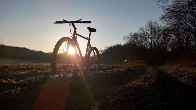 Reflex ALX 99 '88 #220