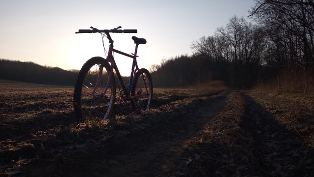 Reflex ALX 99 '88 #221