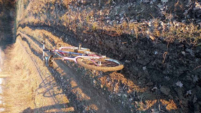 Reflex ALX 99 '88 #227