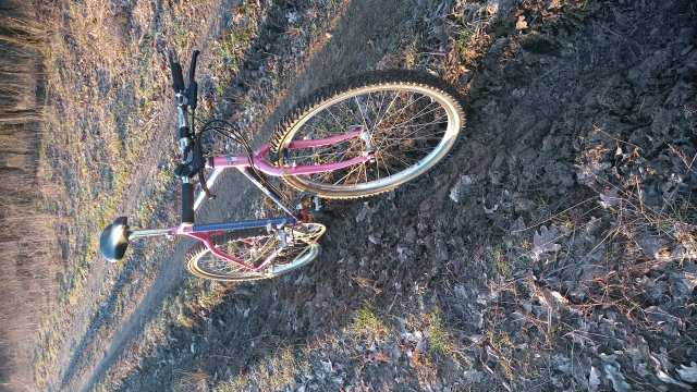 Reflex ALX 99 '88 #231