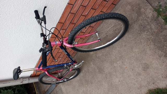 Reflex ALX 99 '89 #2
