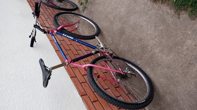 Reflex ALX 99 '89 #3