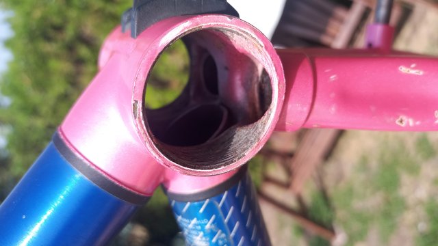 Reflex ALX 99 '89 #77