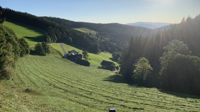 Ausztria #46