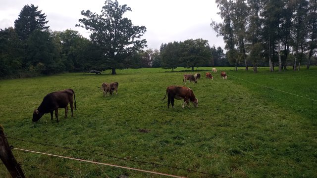 Starnberger See 2025 #31