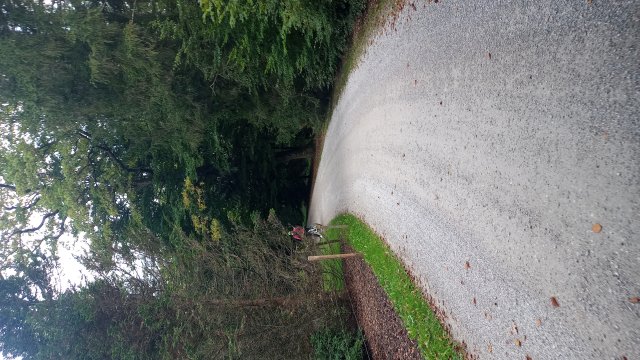 Starnberger See 2025 #33