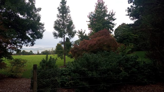 Starnberger See 2025 #34