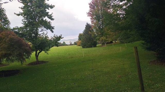 Starnberger See 2025 #35