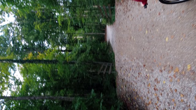 Starnberger See 2025 #57