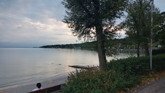 Starnberger See 2025 #68