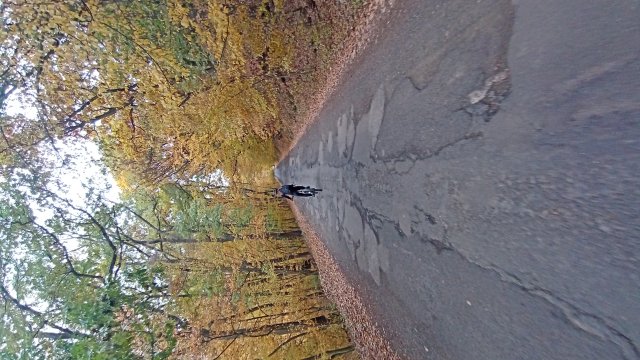 Dobogókő '25 #3