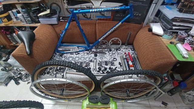 Mongoose I.B.O.C. Comp SX '95 #10