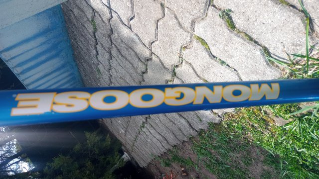 Mongoose I.B.O.C. Comp SX '95 #38