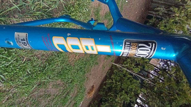 Mongoose I.B.O.C. Comp SX '95 #46