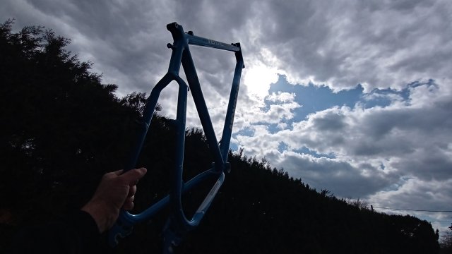 Mongoose I.B.O.C. Comp SX '95 #47