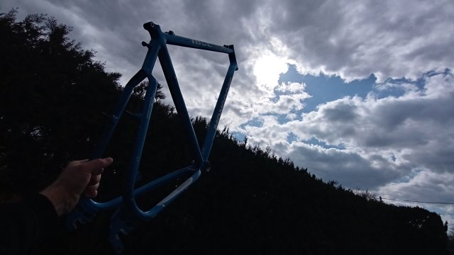 Mongoose I.B.O.C. Comp SX '95 #48