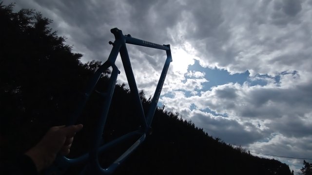 Mongoose I.B.O.C. Comp SX '95 #49