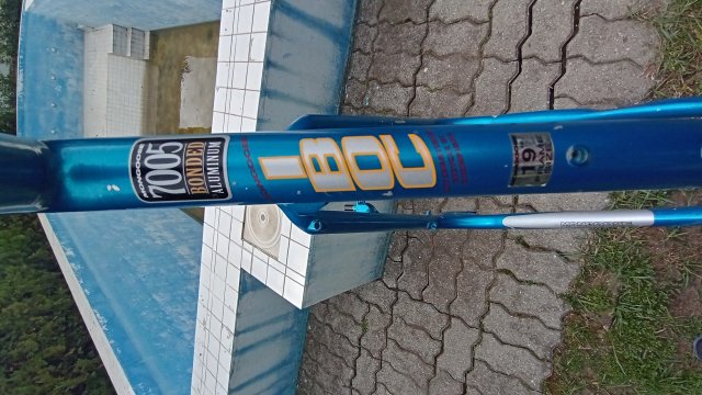 Mongoose I.B.O.C. Comp SX '95 #51