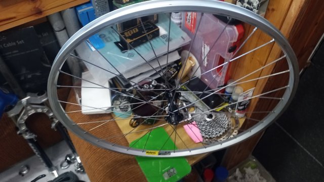 Mongoose I.B.O.C. Comp SX '95 #89